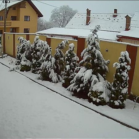 Izabella Guest House Săcele Eksteriør bilde