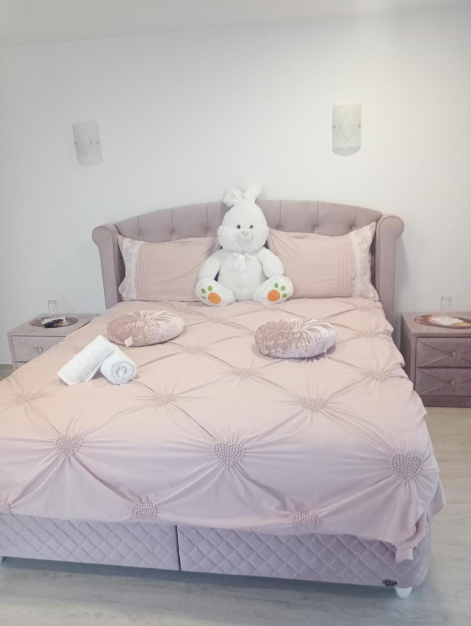 Izabella Guest House Săcele Eksteriør bilde