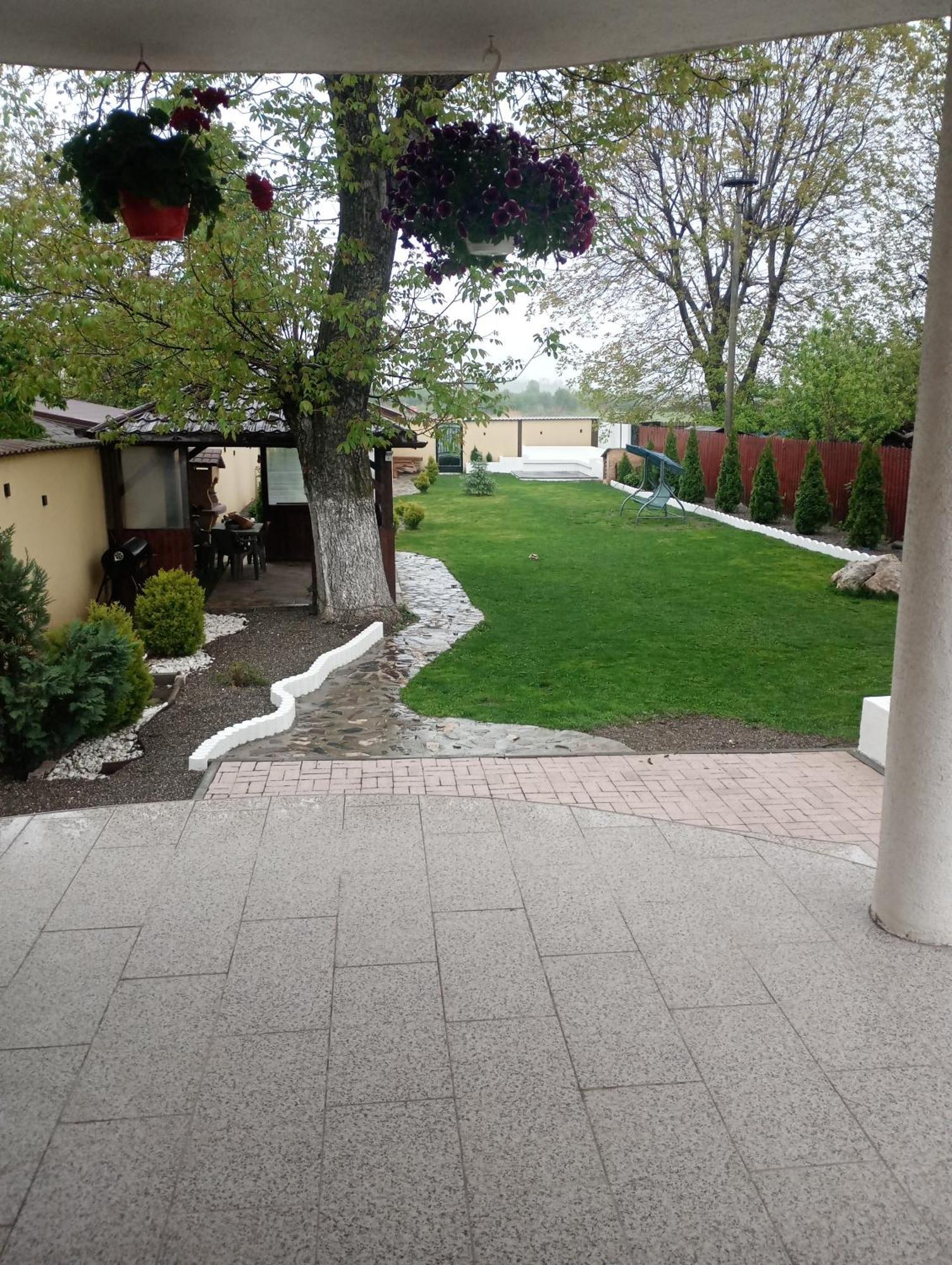 Izabella Guest House Săcele Eksteriør bilde