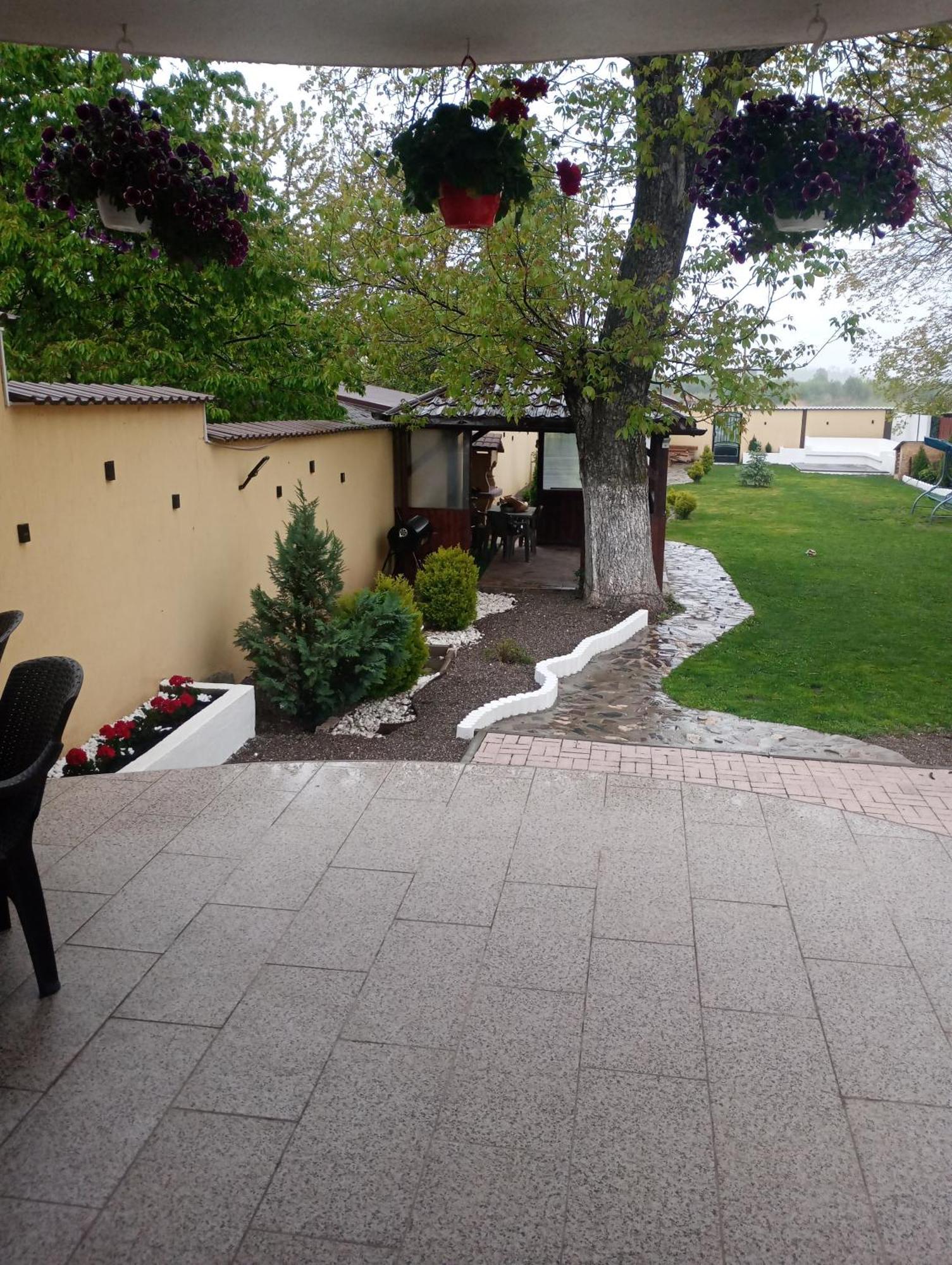 Izabella Guest House Săcele Eksteriør bilde