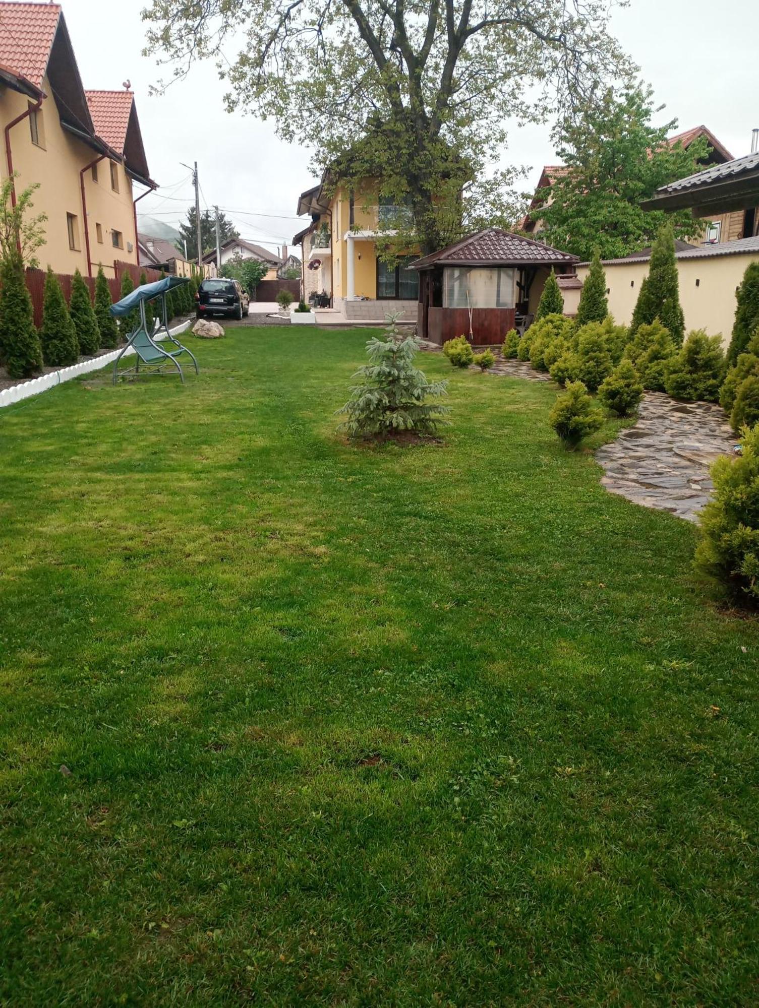 Izabella Guest House Săcele Eksteriør bilde