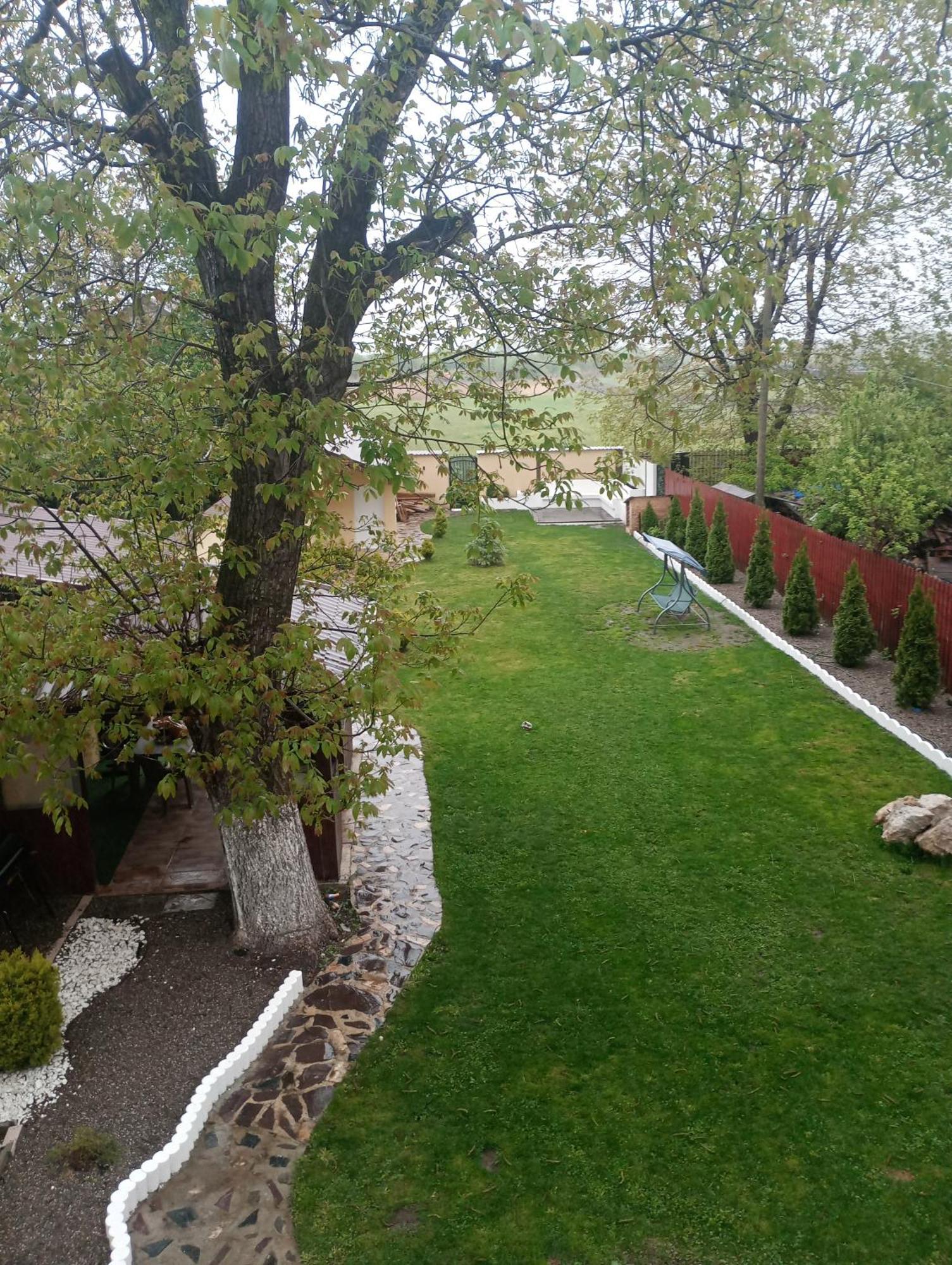 Izabella Guest House Săcele Eksteriør bilde