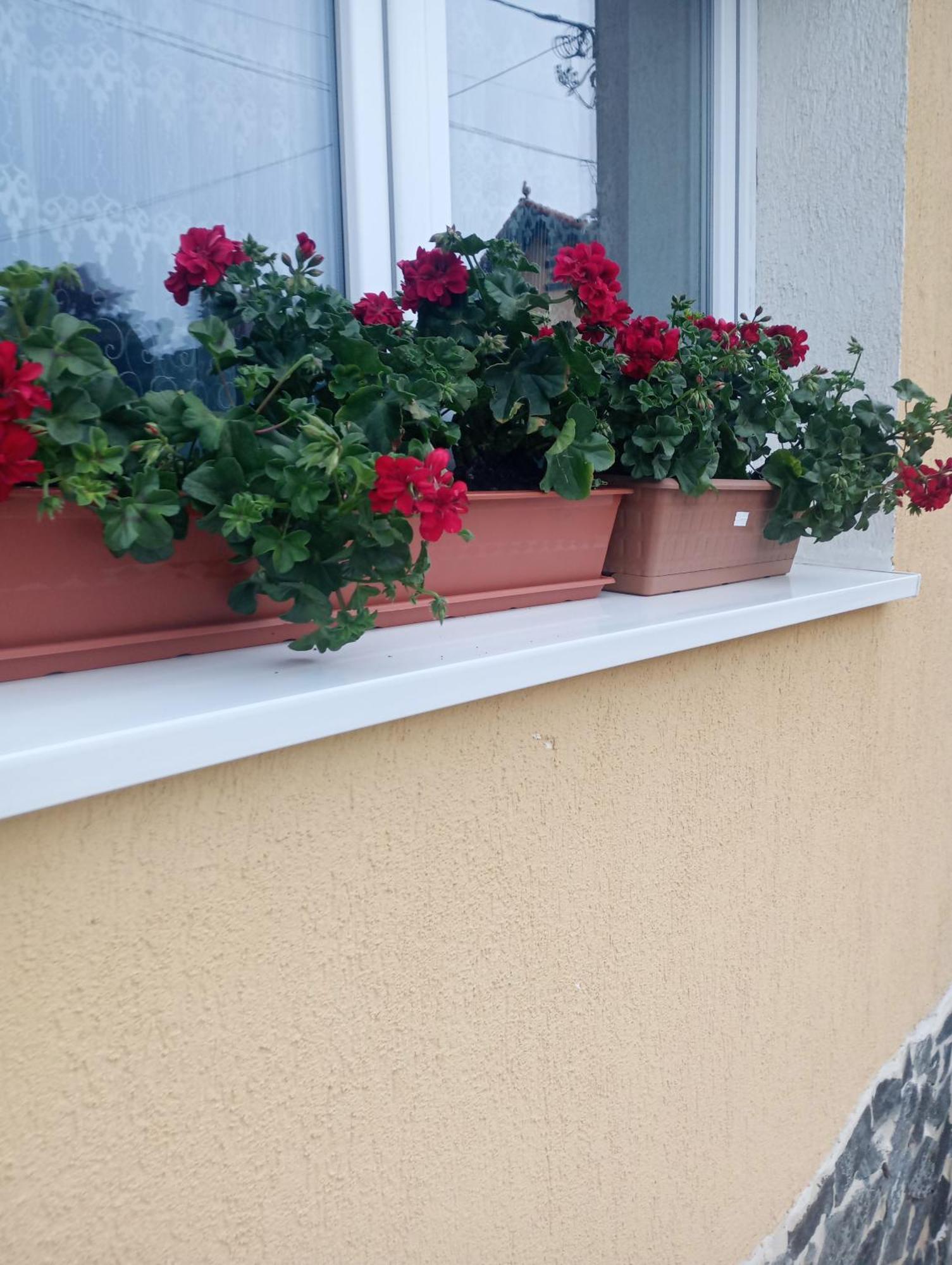 Izabella Guest House Săcele Eksteriør bilde