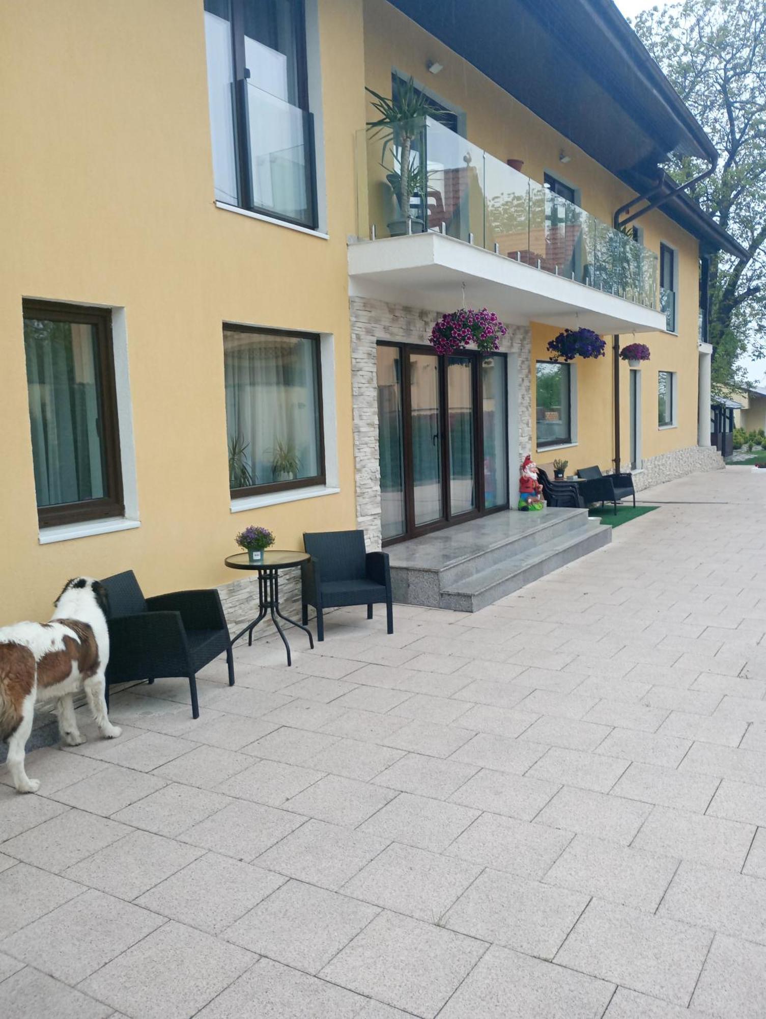 Izabella Guest House Săcele Eksteriør bilde