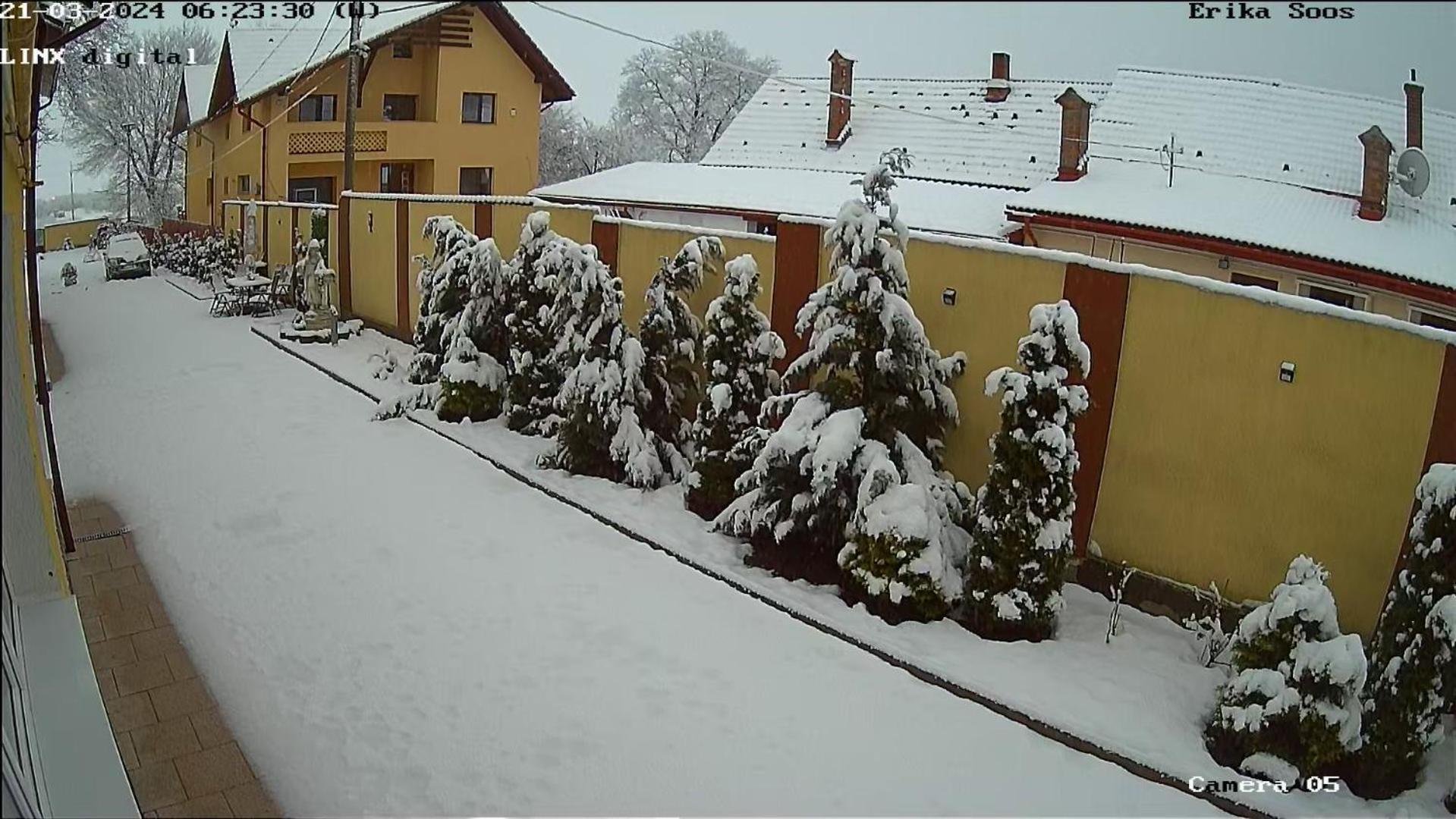 Izabella Guest House Săcele Eksteriør bilde